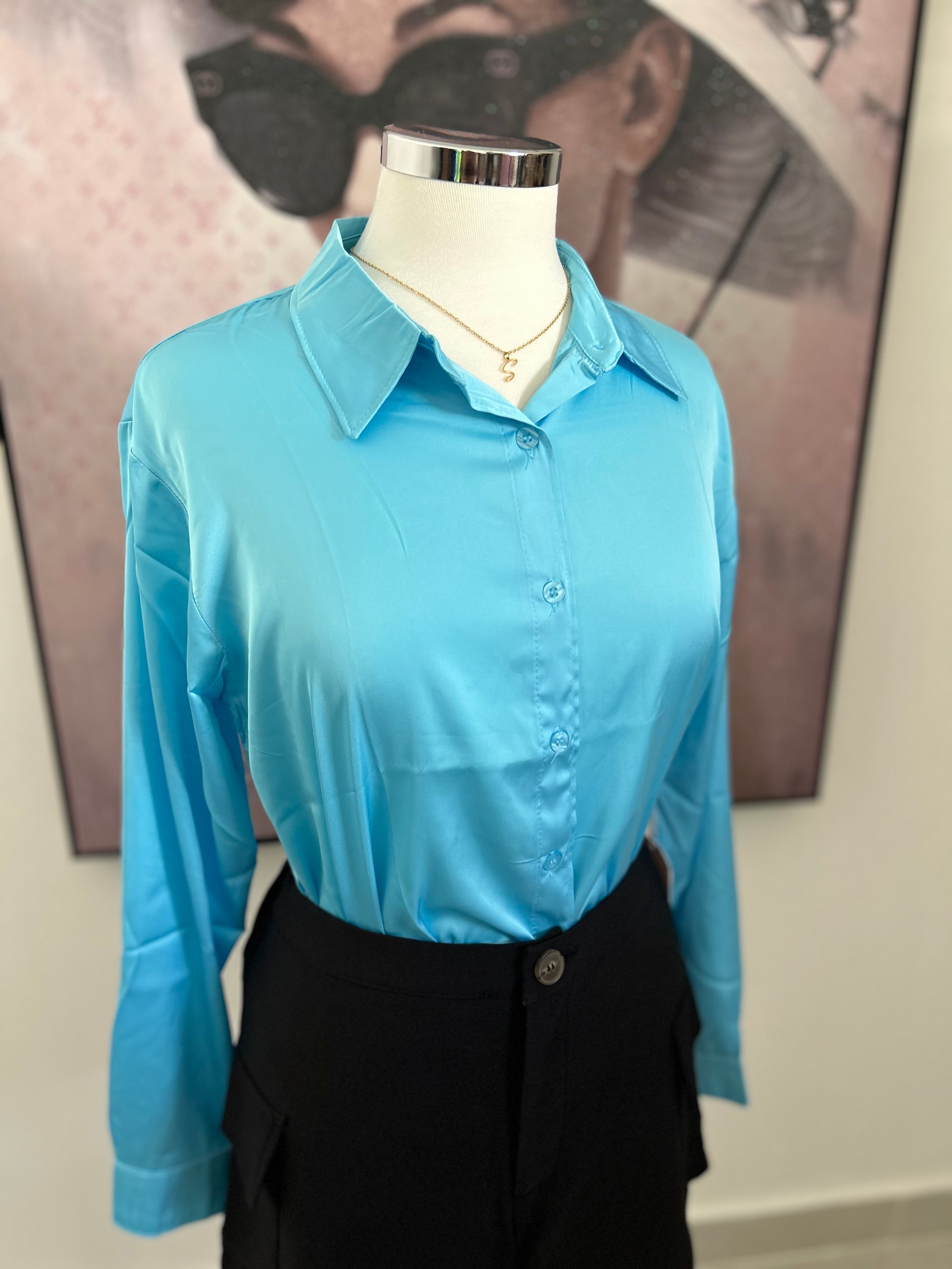 Aqua Blue Long Sleeve Santin Top